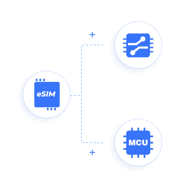eSIM Module